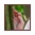 hochzeit82